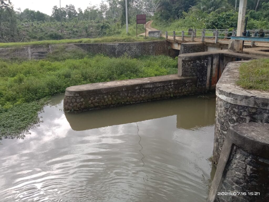 whatsapp image 2026 02 09 at 09.41.07