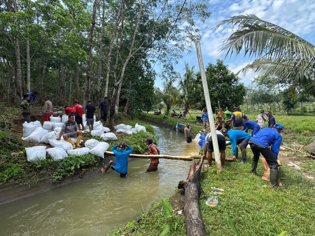 whatsapp image 2026 02 09 at 09.40.52